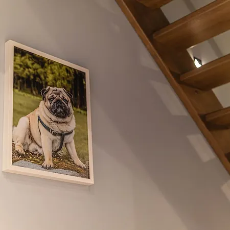 Fotografa Apartman