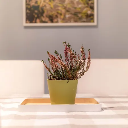 Apartman Fotografa Polanica-Zdrój