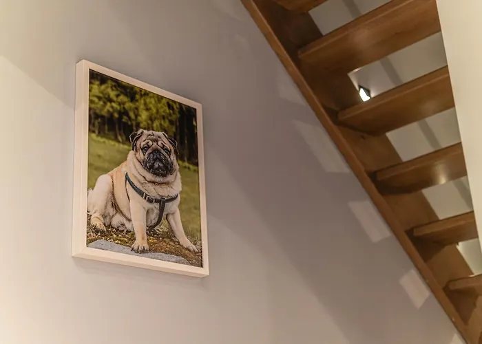 Fotografa Appartement